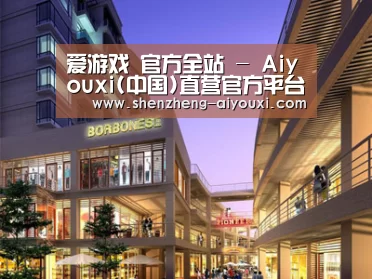 案例展示一(图1)